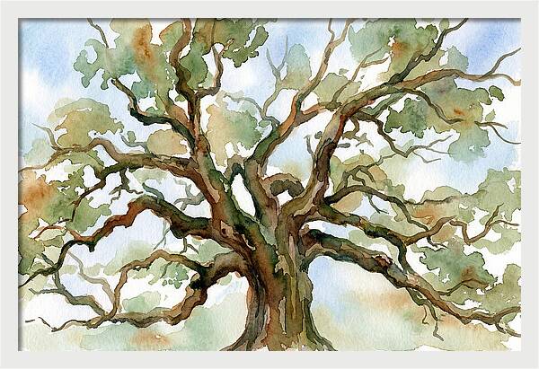 Majestic Oak Tree Watercolor