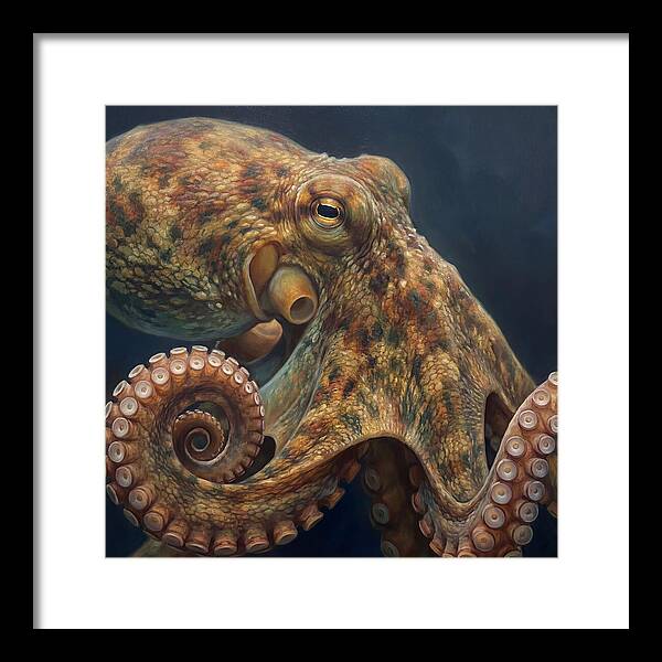 Majestic Octopus Encounter