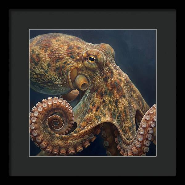 Majestic Octopus Encounter