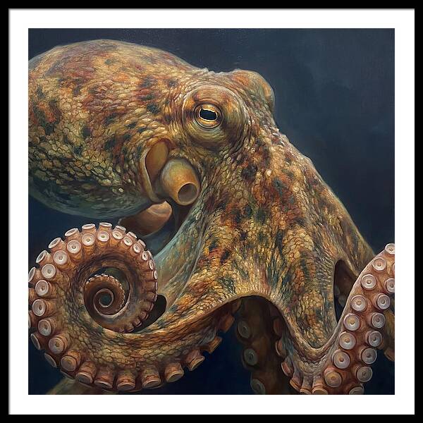 Majestic Octopus Encounter