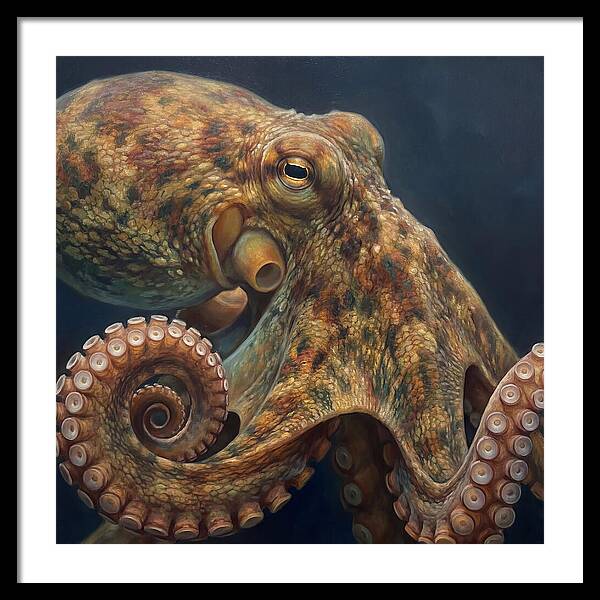 Majestic Octopus Encounter
