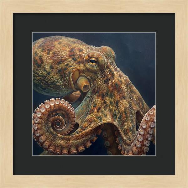 Majestic Octopus Encounter