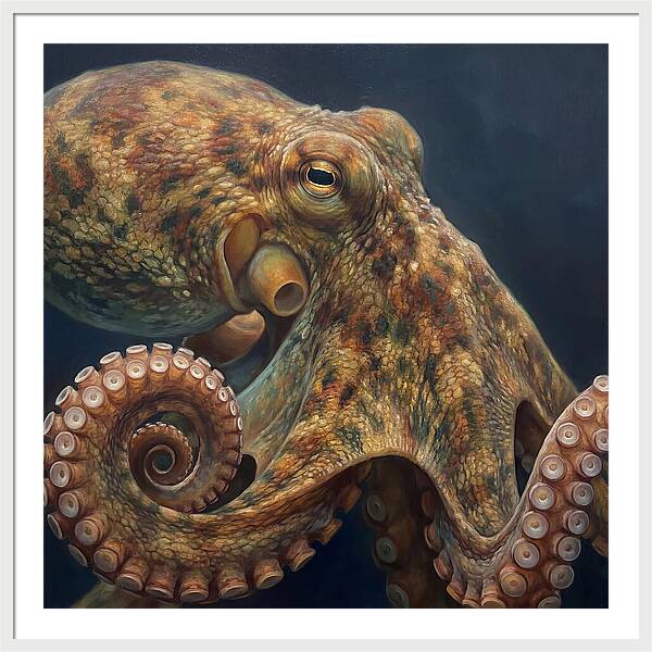 Majestic Octopus Encounter