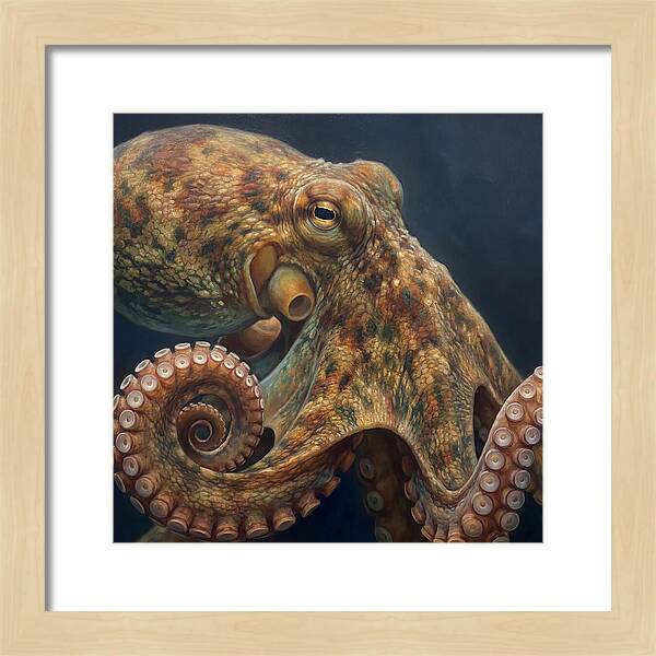 Majestic Octopus Encounter
