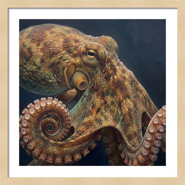 Majestic Octopus Encounter