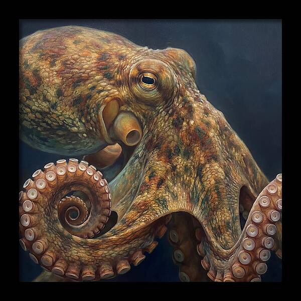 Majestic Octopus Encounter