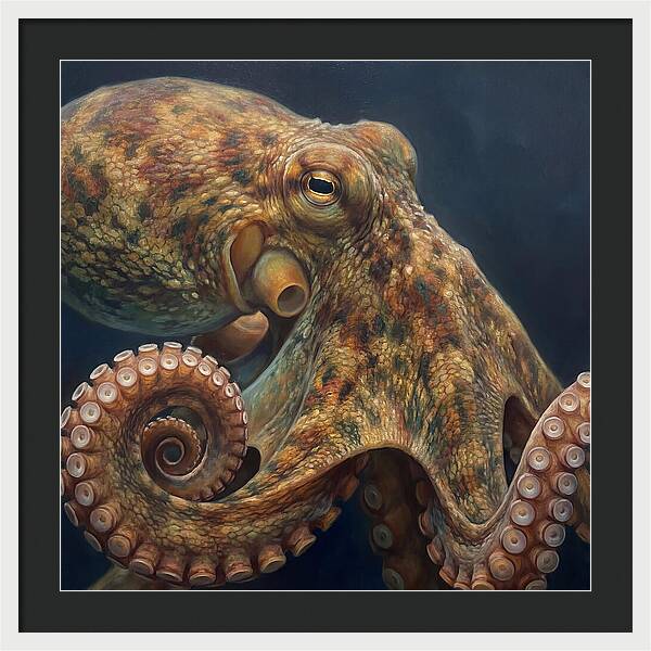 Majestic Octopus Encounter