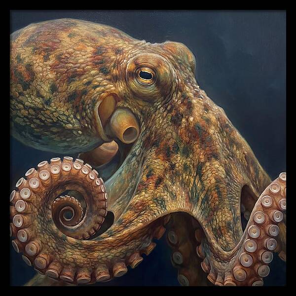 Majestic Octopus Encounter