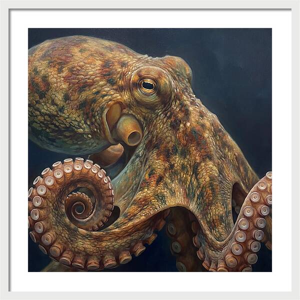 Majestic Octopus Encounter