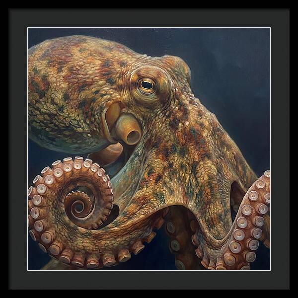 Majestic Octopus Encounter