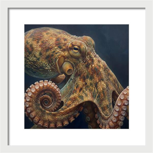 Majestic Octopus Encounter