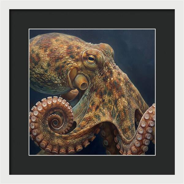 Majestic Octopus Encounter