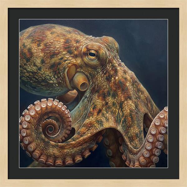 Majestic Octopus Encounter