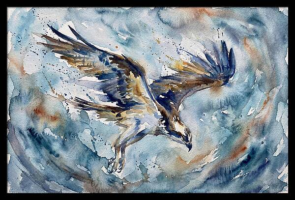 Majestic Osprey Soaring