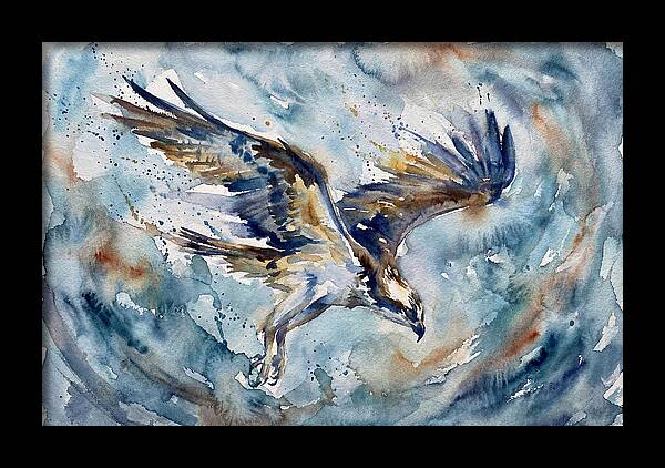Majestic Osprey Soaring