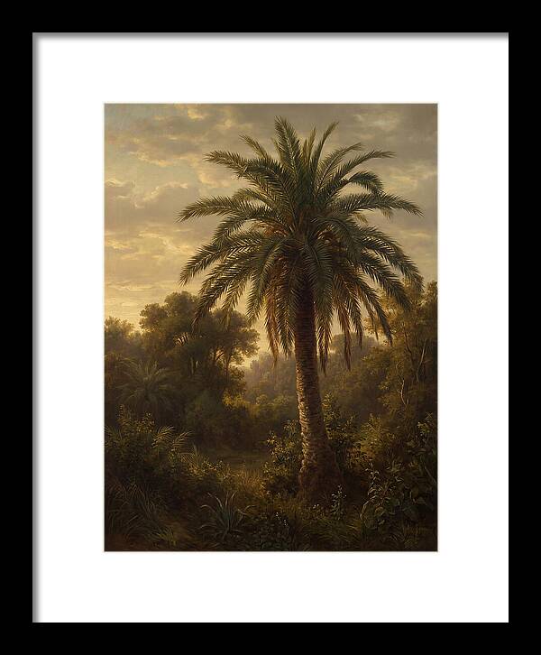 Majestic Palm Tree At Dusk
