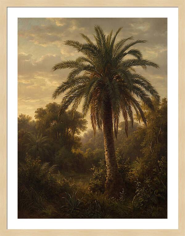 Majestic Palm Tree At Dusk
