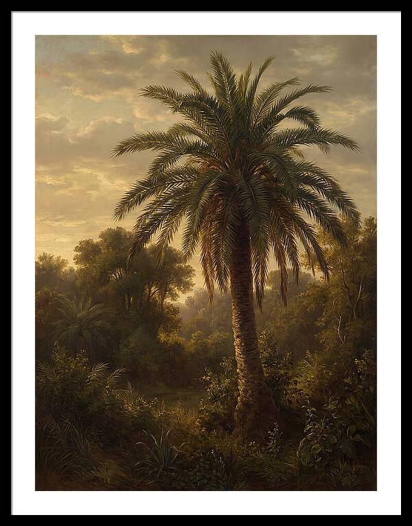 Majestic Palm Tree At Dusk