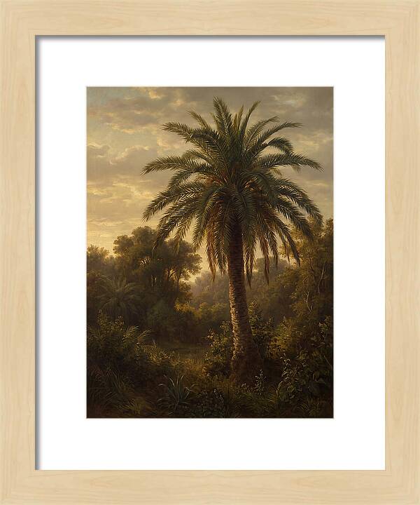 Majestic Palm Tree At Dusk