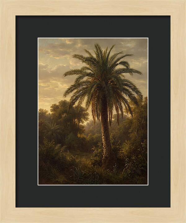 Majestic Palm Tree At Dusk