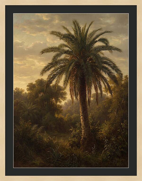 Majestic Palm Tree At Dusk