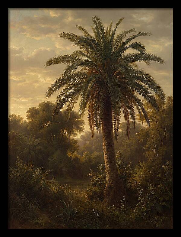 Majestic Palm Tree At Dusk