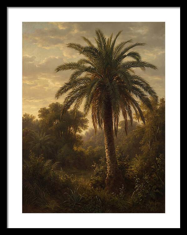Majestic Palm Tree At Dusk