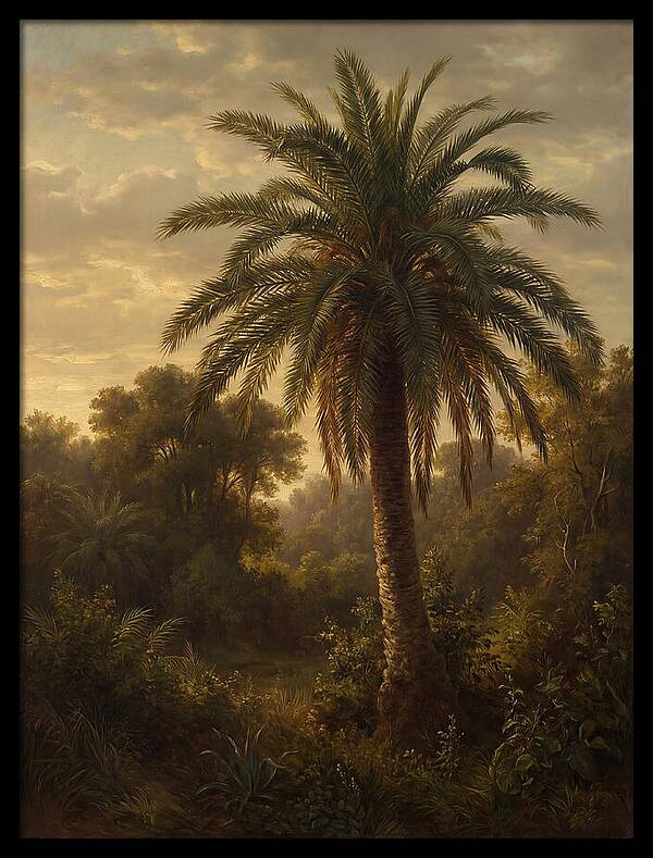 Majestic Palm Tree At Dusk