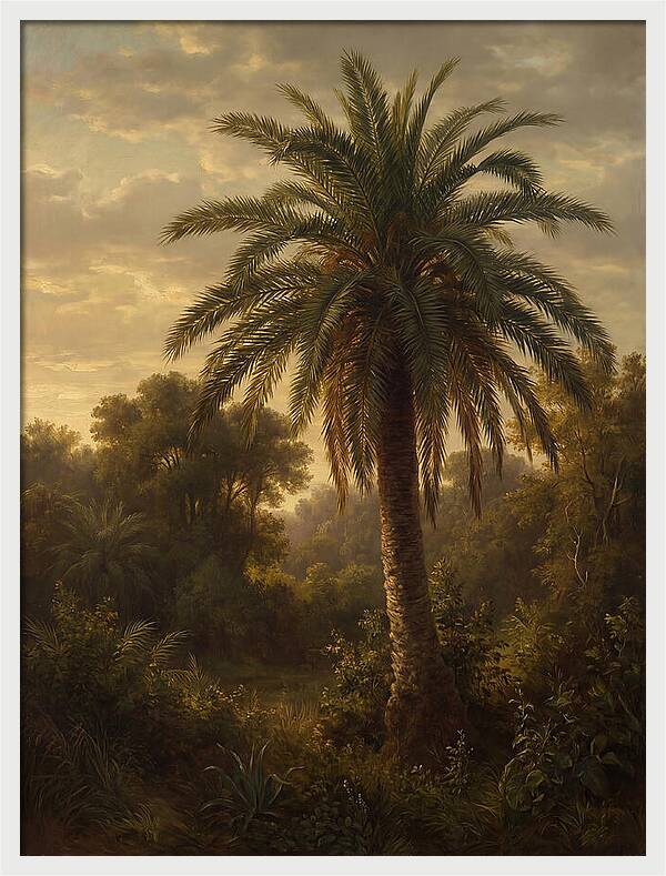 Majestic Palm Tree At Dusk