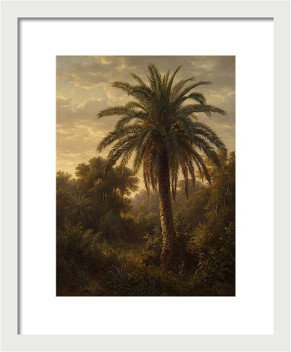 Majestic Palm Tree At Dusk