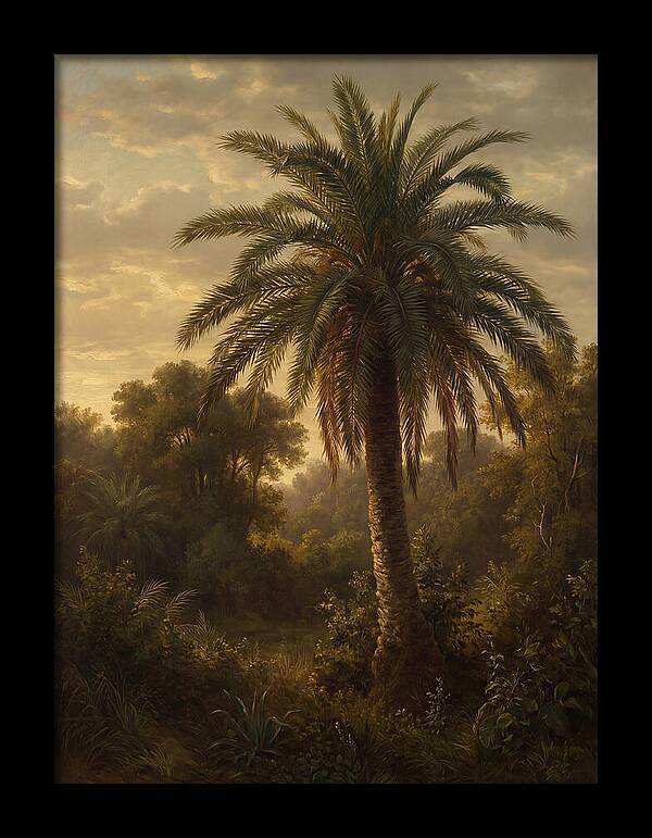 Majestic Palm Tree At Dusk