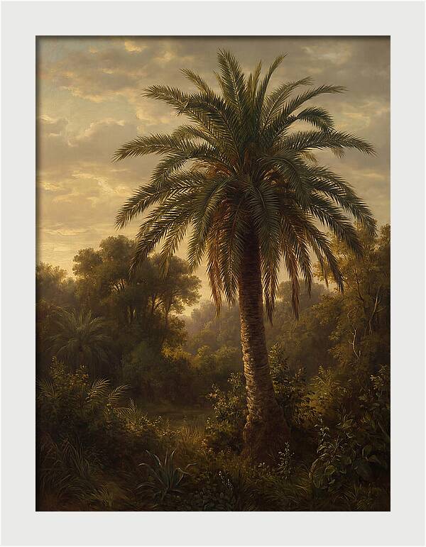 Majestic Palm Tree At Dusk