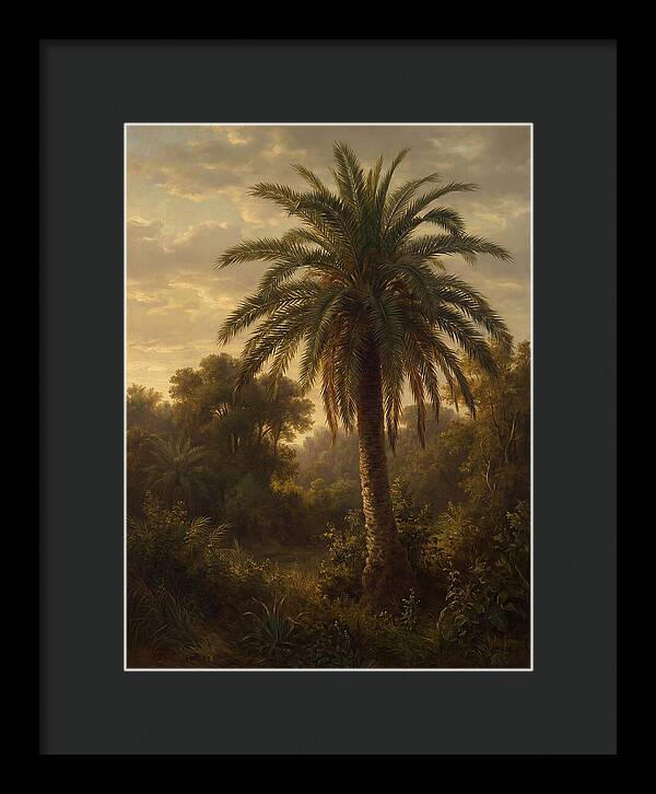 Majestic Palm Tree At Dusk