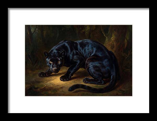 Majestic Panther In Shadows