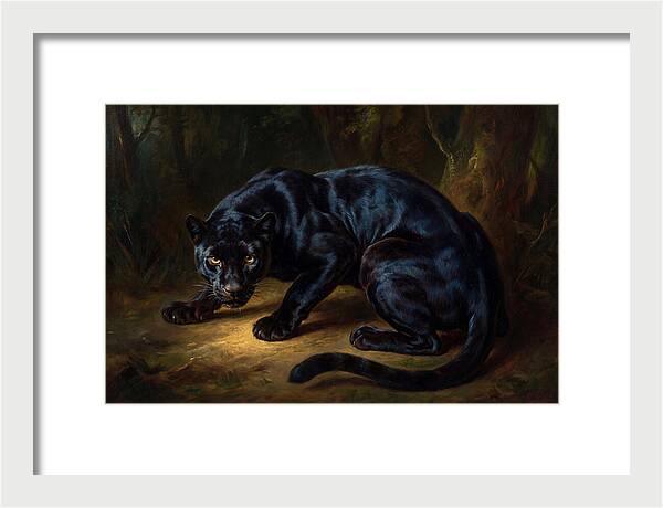Majestic Panther In Shadows