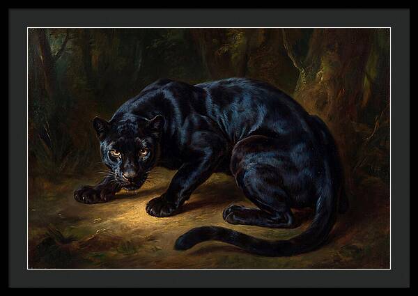Majestic Panther In Shadows