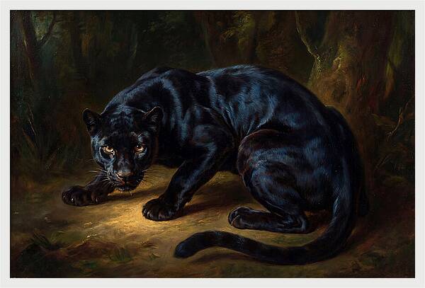 Majestic Panther In Shadows