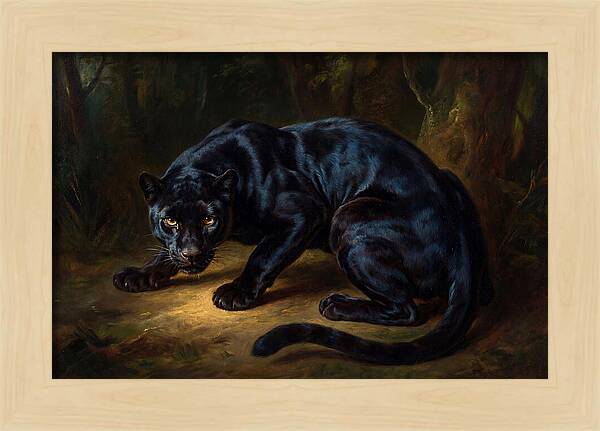 Majestic Panther In Shadows