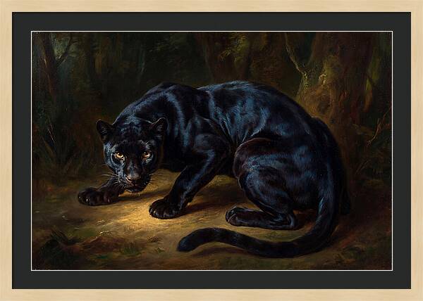 Majestic Panther In Shadows