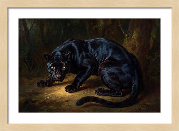 Majestic Panther In Shadows