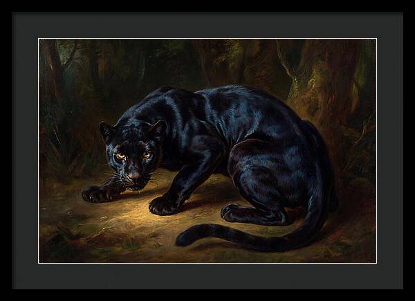 Majestic Panther In Shadows