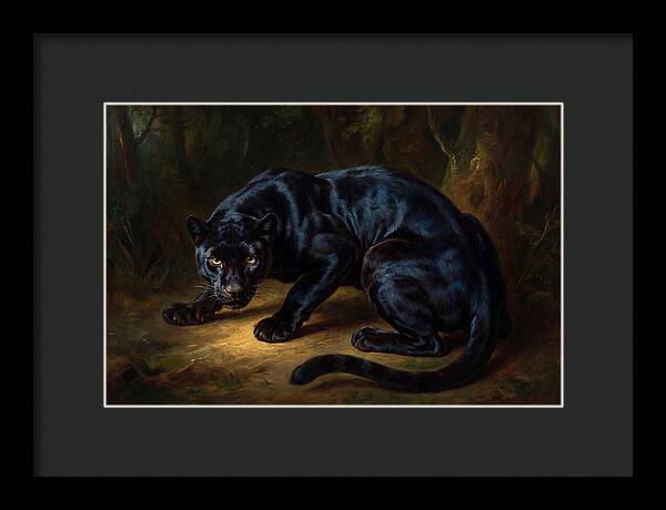Majestic Panther In Shadows