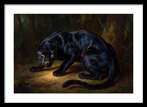 Majestic Panther In Shadows