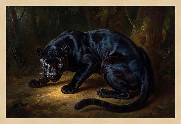 Majestic Panther In Shadows