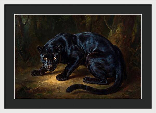 Majestic Panther In Shadows