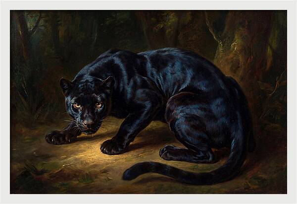 Majestic Panther In Shadows