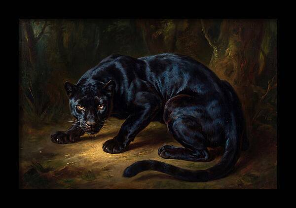 Majestic Panther In Shadows
