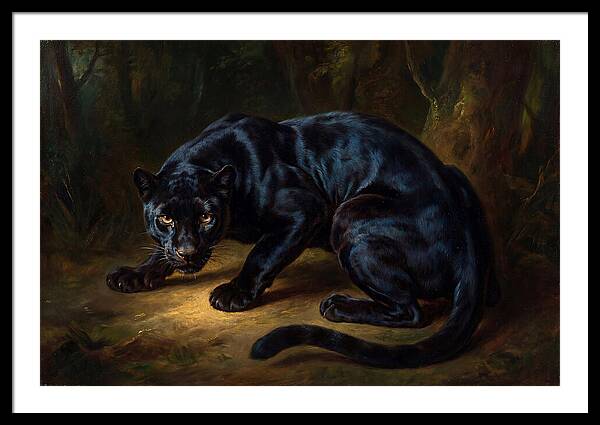 Majestic Panther In Shadows