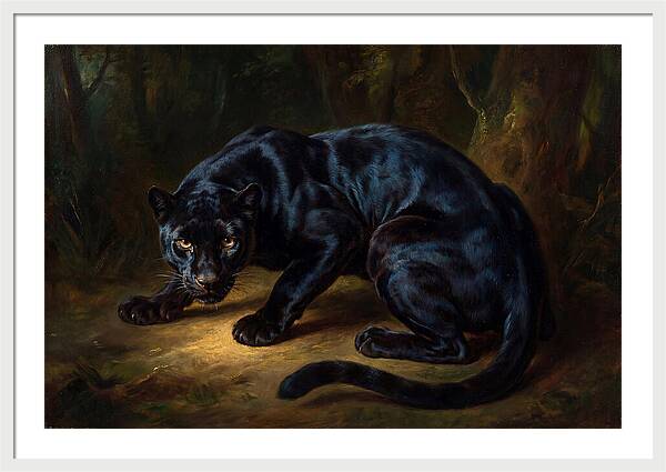 Majestic Panther In Shadows