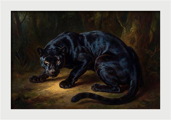 Majestic Panther In Shadows